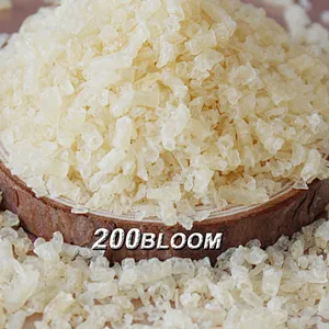 wholesale granules high quality bovine gelatin powder
